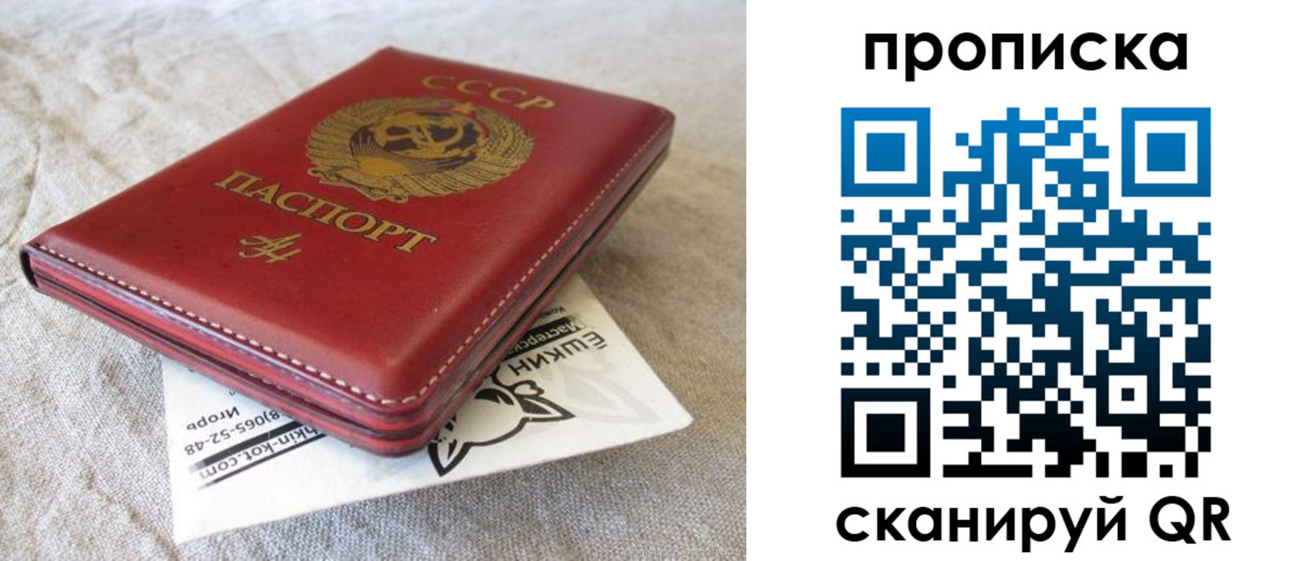 прописка для школы в Красноярском крае